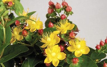 gara-2020-01-13-Noticia