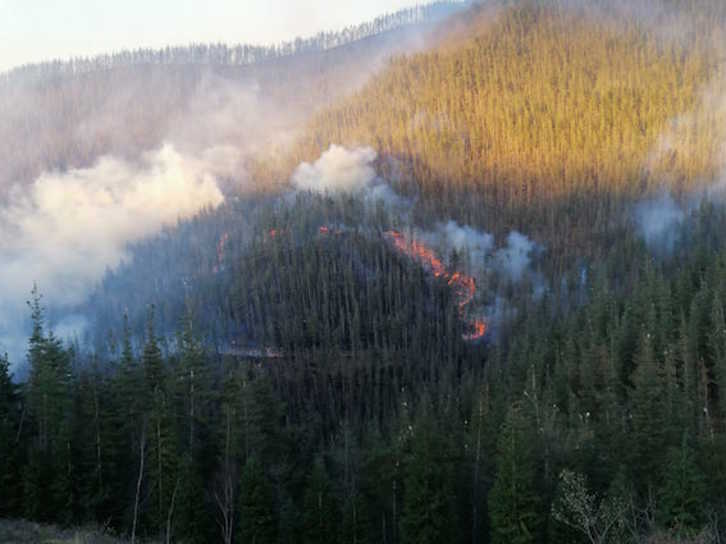 Imagen del incendio en Azkarate. (@Basozainak_Gipu)
