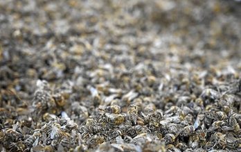 gara-2020-01-15-Noticia