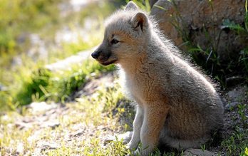 gara-2020-01-16-Noticia