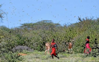 gara-2020-01-22-Noticia