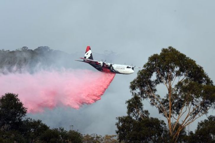 Imagen de un avión cisterna en los incendios de Australia. (Saeed KHAN/AFP)