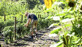 gara-2020-01-23-Opinión