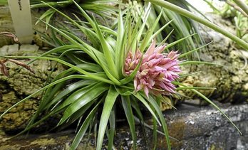 gara-2020-01-27-Noticia