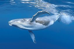 gara-2020-01-30-Noticia