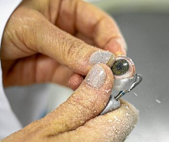 gara-2020-02-06-Reportaje