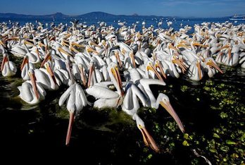 gara-2020-02-10-Noticia