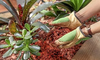 gara-2020-02-10-Noticia