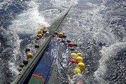 gara-2020-02-11-Reportaje