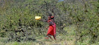 gara-2020-02-20-Reportaje