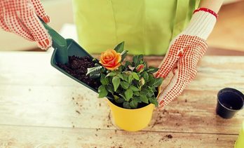 gara-2020-02-21-Noticia