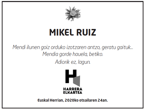 Mikel-ruiz-diaz-2