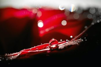 gara-2020-02-28-Reportaje