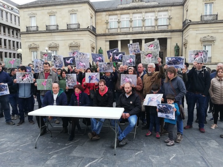 Ganadores de las sierras de Bajerro y Gibijo se han concentrado este sábado ante la Diputación de Araba. (GANADEROS DE ARABA)