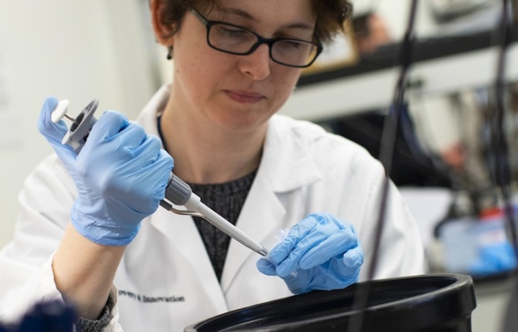 Una investigadora trabaja en busca de una solución al coronavirus en New Yersey, Estados Unidos. (Kena BETANCUR/AFP)