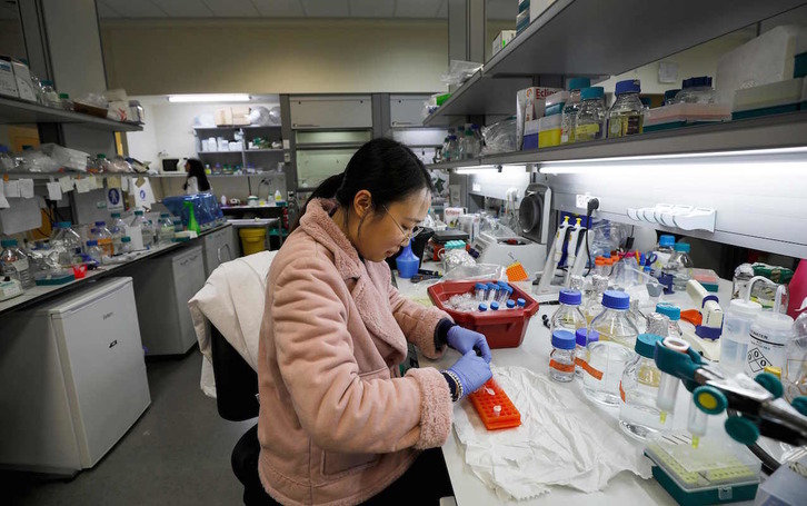 Una científica china trabaja en un laboratorio de Israel para encontrar una vacuna contra el Covid-19. (Jalaa MAREY/AFP)