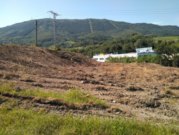 Baimenik gabe zuhaitzak moztu dira Zaldunborda aldean. (Abotsanitz)