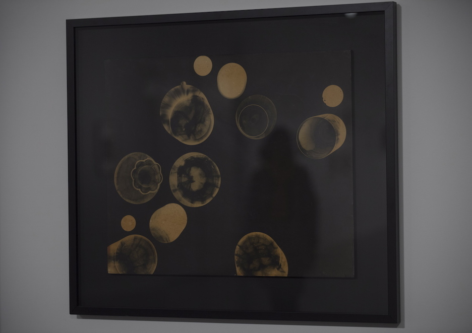 Basterretxea7 Basterretxea7