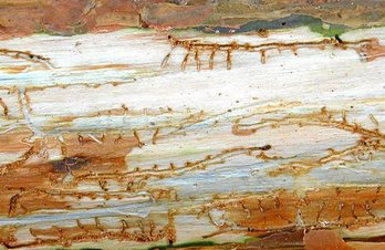 gara-2020-03-06-Noticia