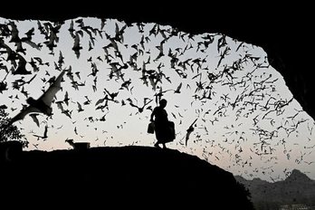 gara-2020-03-16-Noticia