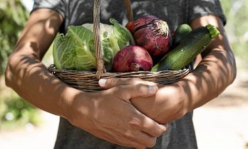 gara-2020-03-16-Noticia