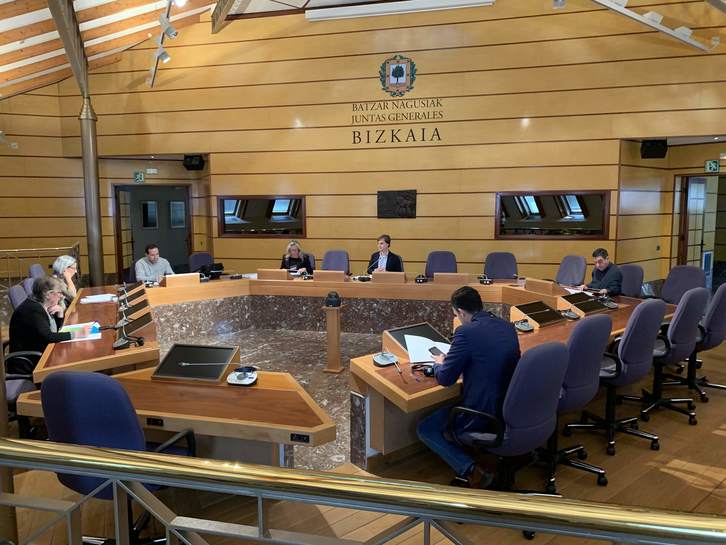 Comisión de Economía y Hacienda reducida, que ha ejercido de Pleno de las JJGG de Bizkaia.