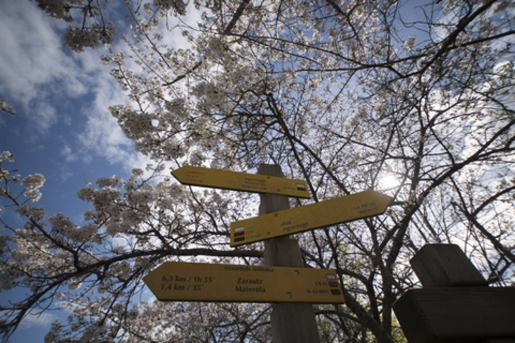 Una imagen de marzo del pasado año en el Parque Natural de Pagoeta. (Gorka RUBIO | FOKU)