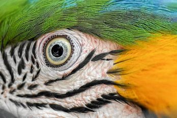 gara-2020-03-20-Noticia