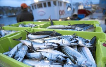 gara-2020-03-20-Noticia