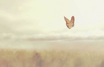 gara-2020-03-27-Noticia