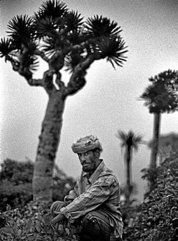 gara-2020-03-31-Noticia