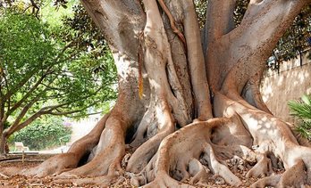 gara-2020-04-03-Noticia