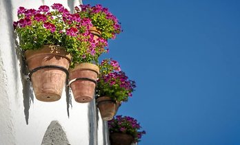 gara-2020-04-17-Noticia