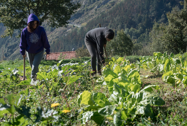 Foto de archivo d euna huerta. (Jon URBE/FOKU).