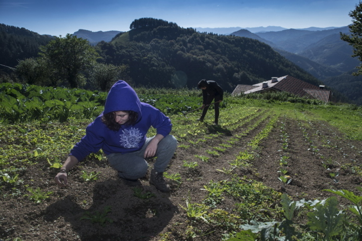 Jóvenes trabajando en una huerta. (Jon URBE/FOKU)