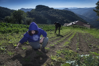 Jóvenes trabajando en una huerta. (Jon URBE)