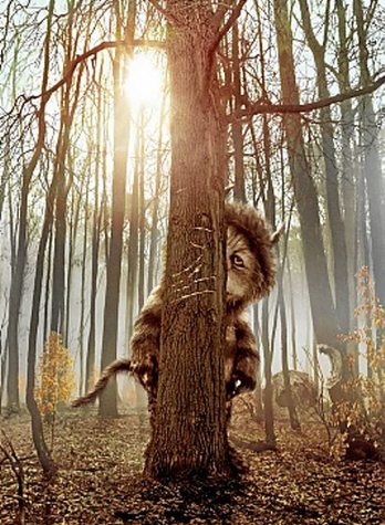 gara-2020-04-20-Opinión