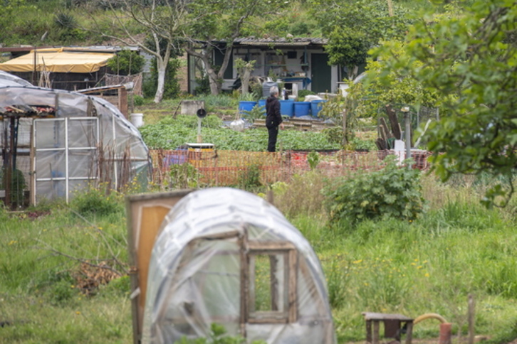 Una explotación hortícola. (Marisol RAMÍREZ/FOKU)