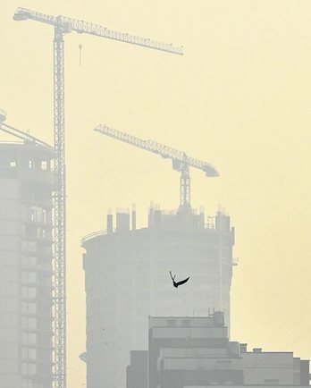 gara-2020-04-23-Reportaje