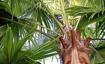 gara-2020-04-24-Noticia