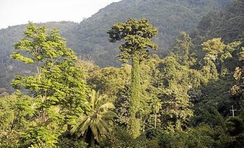 gara-2020-04-30-Noticia