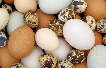 gara-2020-04-30-Noticia