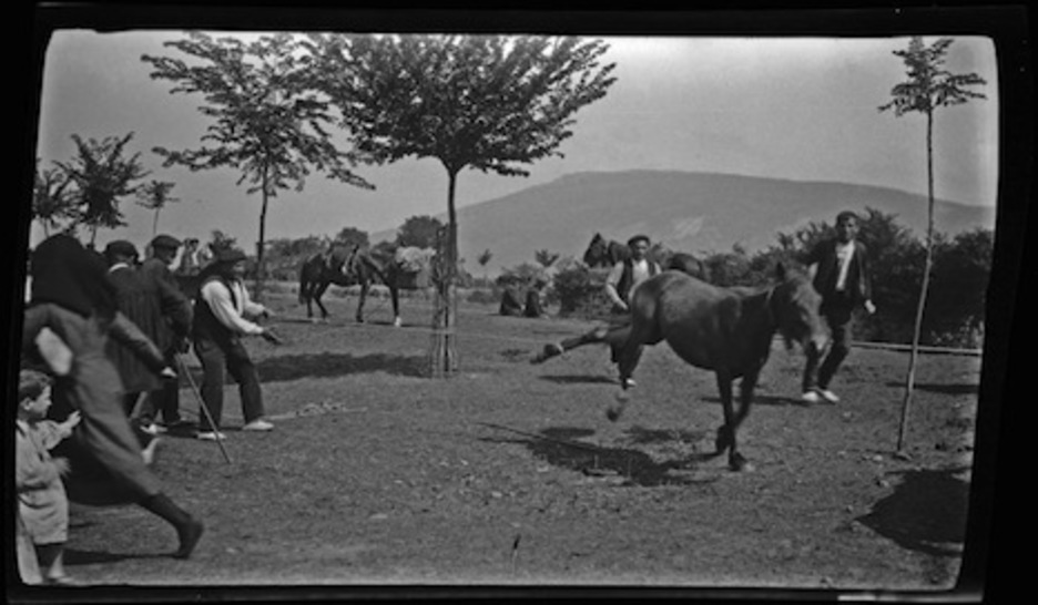 Un pastor sujeta por una pata a uno de los caballos de la feria de ganado, que entonces se celebraba en la Taconera. (José BELZUNCE GONZÁLEZ/ARCHIVO GENERAL DE NAFARROA)