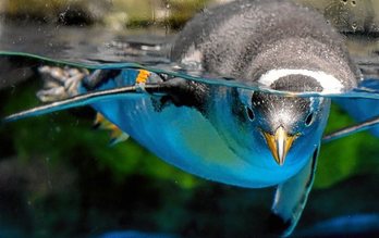 gara-2020-05-05-Opinión