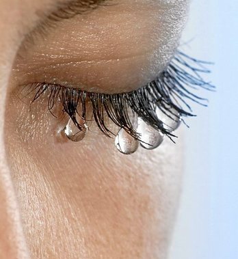 gara-2020-05-06-Opinión