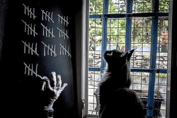 gara-2020-05-08-Noticia