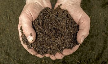 gara-2020-05-08-Noticia