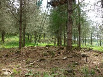 Irungo trikuharria © Iñigo Txintxurreta