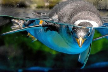 gara-2020-05-15-Noticia