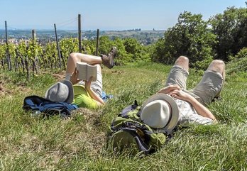 gara-2020-05-15-Noticia